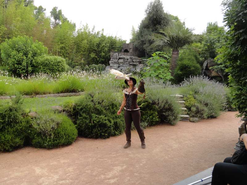 Seniorenausflug-Locarno-2025-06-26