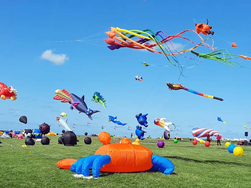 Chilae-mal-anders-Rueckenwind-2025-08-24